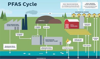 PFAS Cycle graphic